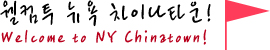 웰컴투 뉴욕 차이나타운! Welcome to NY Chinatown!